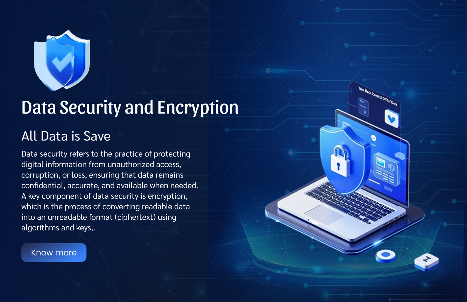 websites Data security and Encryption